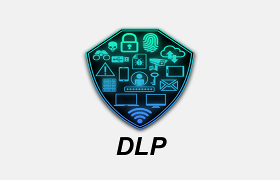 dlp.webp